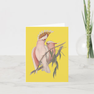 Carte John Gould de Galah d'Australien