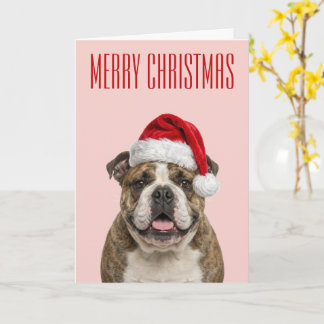 Carte Joie de Noël Bouledogue
