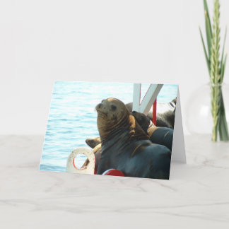 Carte Joint de baie de Morro