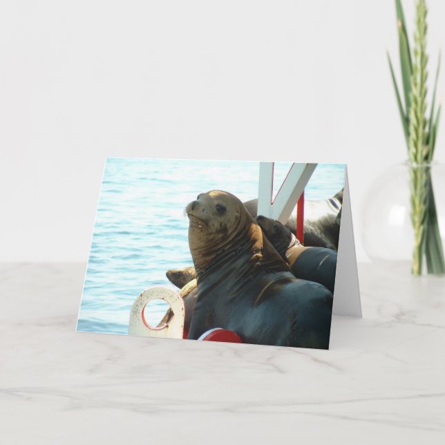 Carte Joint de baie de Morro (Devant)