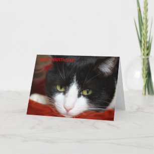 CARTE JOLI ANNIVERSAIRE