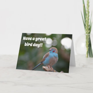 Carte Joli anniversaire bleu finch