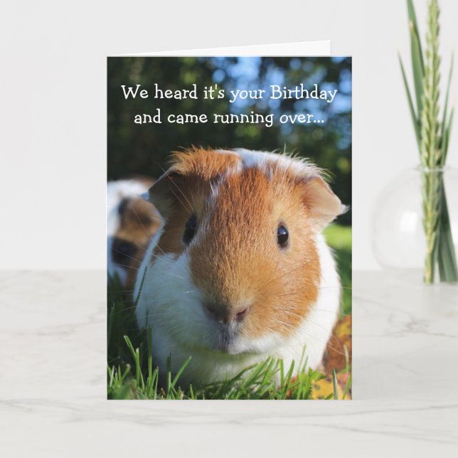 Carte Joli anniversaire de la Guinée Cochon (Devant)