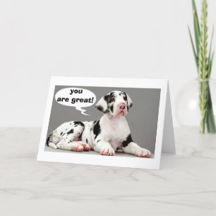 CARTE JOLI ANNIVERSAIRE GRANDS SOUHAITS ET UN GRAND DANE