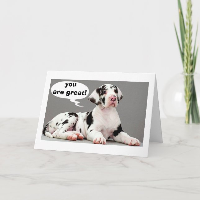 CARTE JOLI ANNIVERSAIRE GRANDS SOUHAITS ET UN GRAND DANE (Devant)