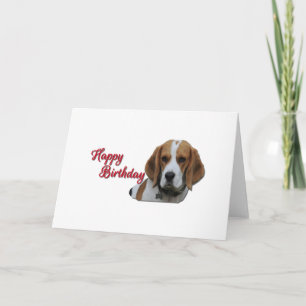 Carte Joli Beagle Tri coloré Joyeux Anniversaire Rouge