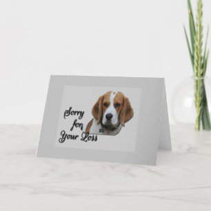 Carte Joli Beagle tricolore Sympathie Désolé pour votre
