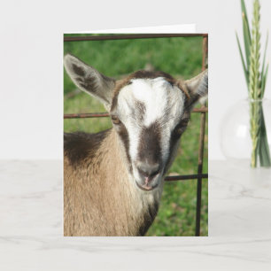 Carte Joli Billy Kid