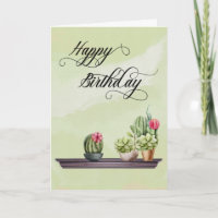 Joli Cactus Poted Plantes Succulent Anniversaire