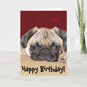 Carte Joli Carlin Chiot Anniversaire Souhait