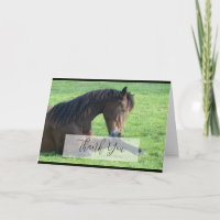 Joli Cheval Brown allongé dans le Merci d'herbe