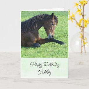 Carte Joli Cheval Brown allongé dans l'herbe Anniversair