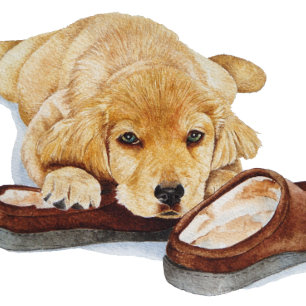 Carte joli chiot golden récupérateur triste chien qui vo