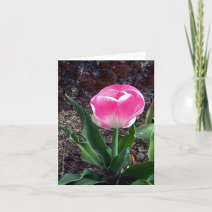 Carte Joli en rose.....