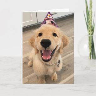 Carte Joli Golden Retriever Chien chiot avec Casquette d