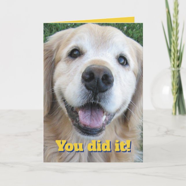 Carte Joli Golden Retriever Félicats Graduate-Vous L'Ave (Devant)