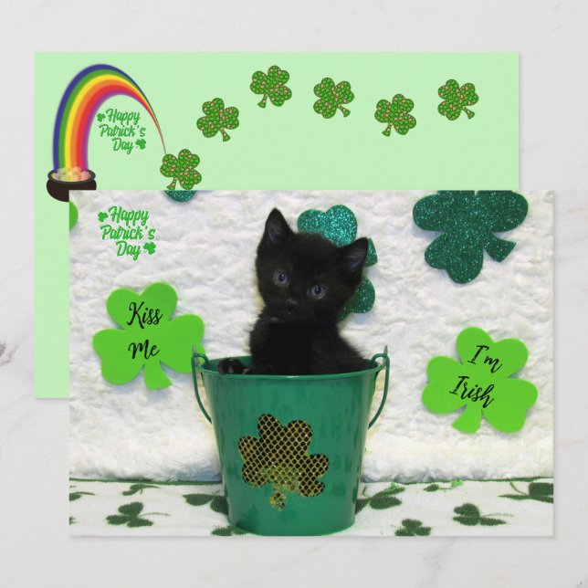 Carte Joli Jack - Chat / Kitten St. Patrick's Day (Devant / Derrière)
