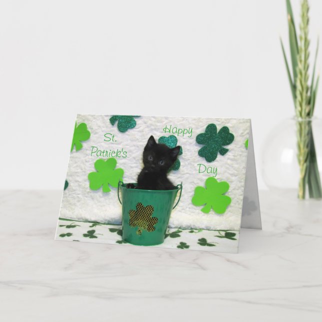 Carte Joli Jack Le chat de la Saint Patrick (Devant)