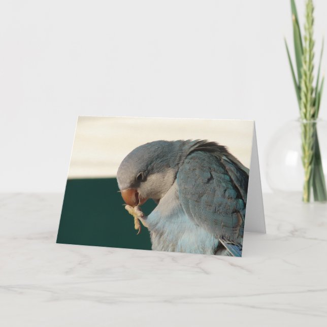 Carte Joli oiseau (Devant)