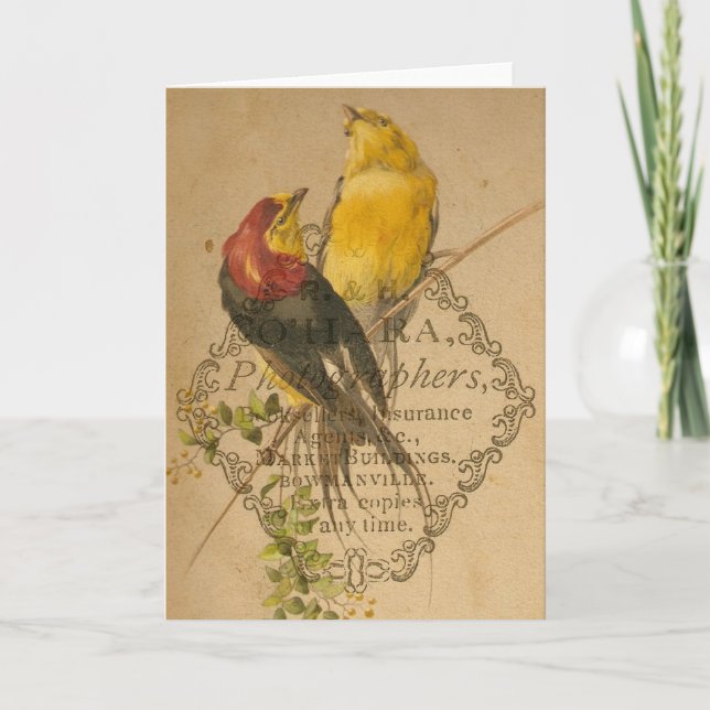 Carte Joli oiseau Vintage (Devant)