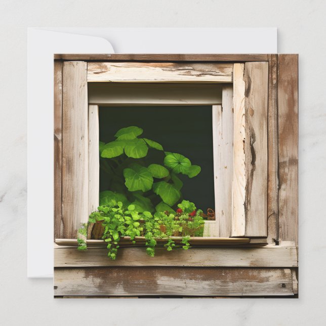 Carte Joli Plantes dans fenêtre rustique avec bois Patin (Devant)
