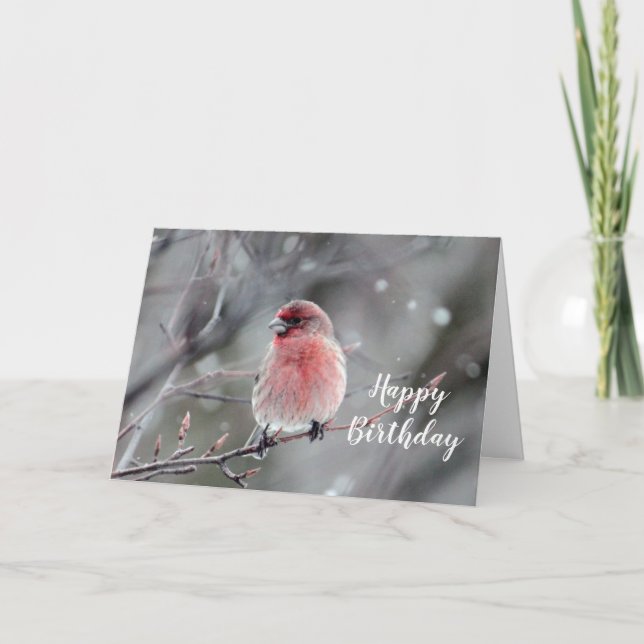 Carte Joli Red Finch Photo Anniversaire (Devant)