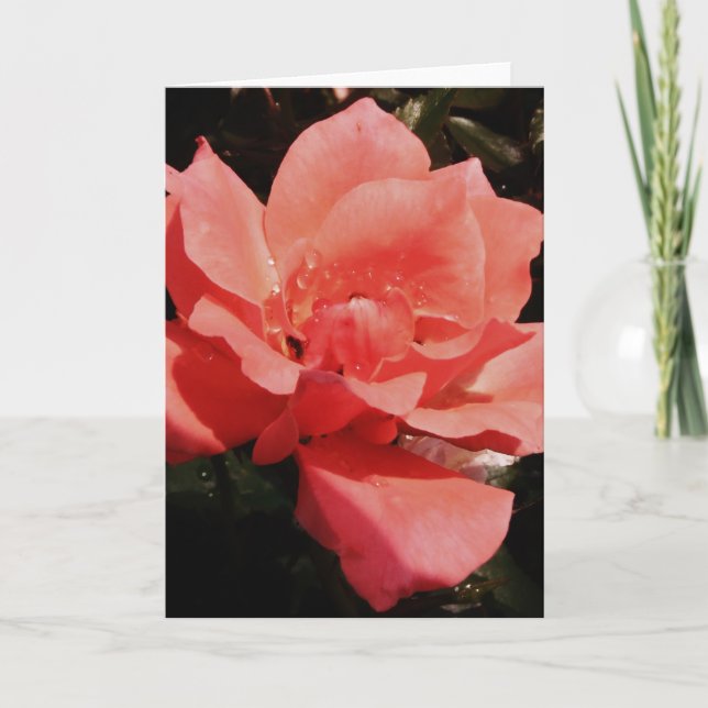 Carte Joli rose de rose de pêche floral (Devant)