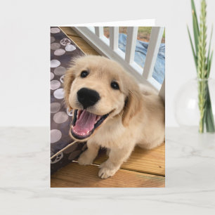 Carte Joli sourire Golden Retriever Chien Chien Chien Ch