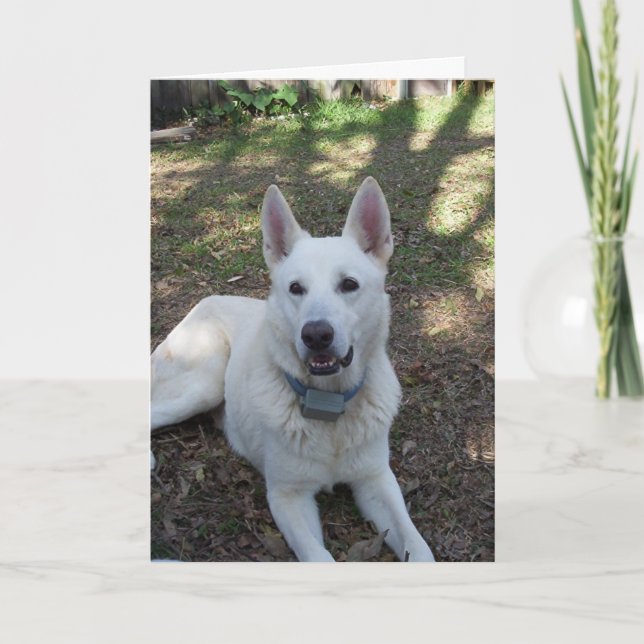 Carte jolie (Devant)