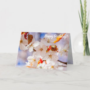 Carte Jolie Et Élégante Fleurs Sakura Au Printemps
