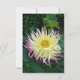 Carte Jolie Fleur Dahlia
