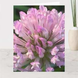 Carte Jolie fleur de trèfle