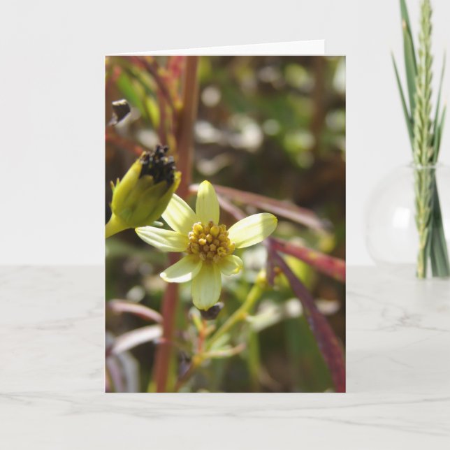 Carte Jolie Fleur Jaune (Devant)