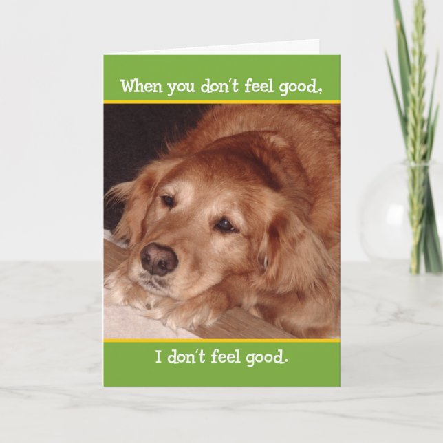 Carte Jolie Golden Retriever Get Well Card (Devant)