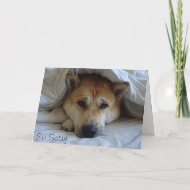 Carte Jolie japaneses akita sous les couvertures de lit  (Devant)