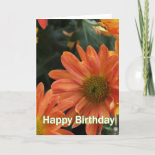 Carte Jolie marguerite orange fleurs joyeux anniversaire