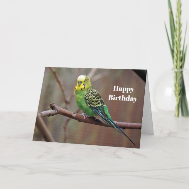 Carte Jolie Perruche verte photo Anniversaire (Devant)