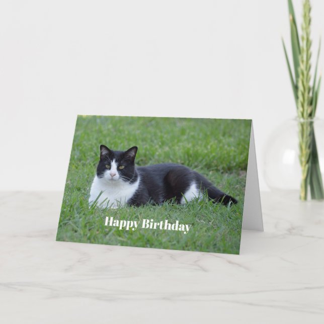 Carte Jolie photo de chat en noir et blanc Tuxedo Annive (Devant)