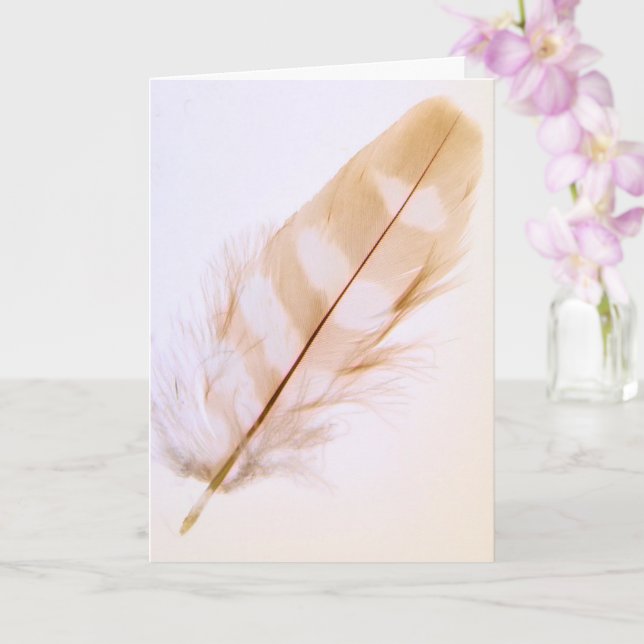 Carte Jolie Plumes Nature Se Bien (Orchidée)