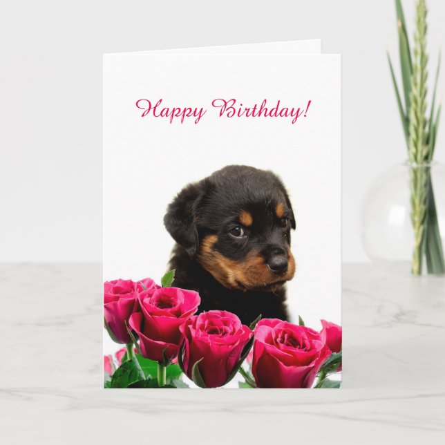 Carte Jolie Rottweiler Chiot Roses Rouge Joyeux Annivers (Devant)