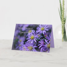 Jolie Soft Purple Aster Fleurs Sympathie