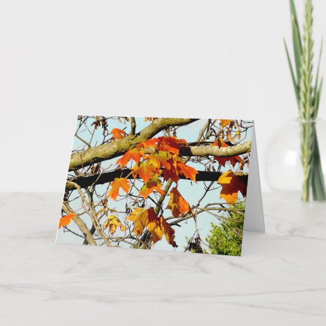 Carte Jolies Feuilles Automne Bénédiction Automne (Devant)