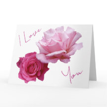 Jolies roses roses Saint-Valentin amour floral bel