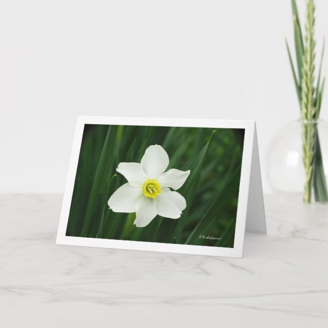 Carte Jonquil dans mon jardin (Devant)