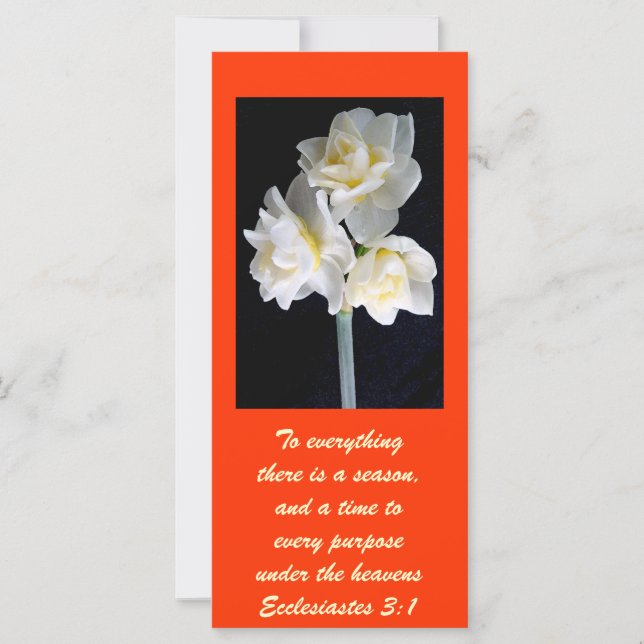 Carte Jonquil Flower - Ecclesiastes 3:1 (Devant)
