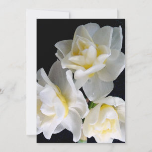 Carte Jonquil Flower - Ecclesiastes 3:1