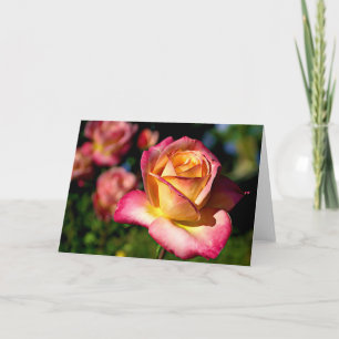 Carte Joseph's Coat Rose Scripture Card Isaïe 26:3