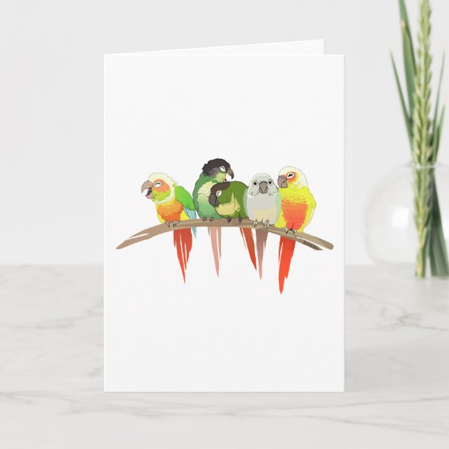 Carte Joue verte Conures (Devant)