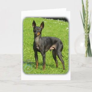 Carte Jouet anglais Terrier 9R78D-77