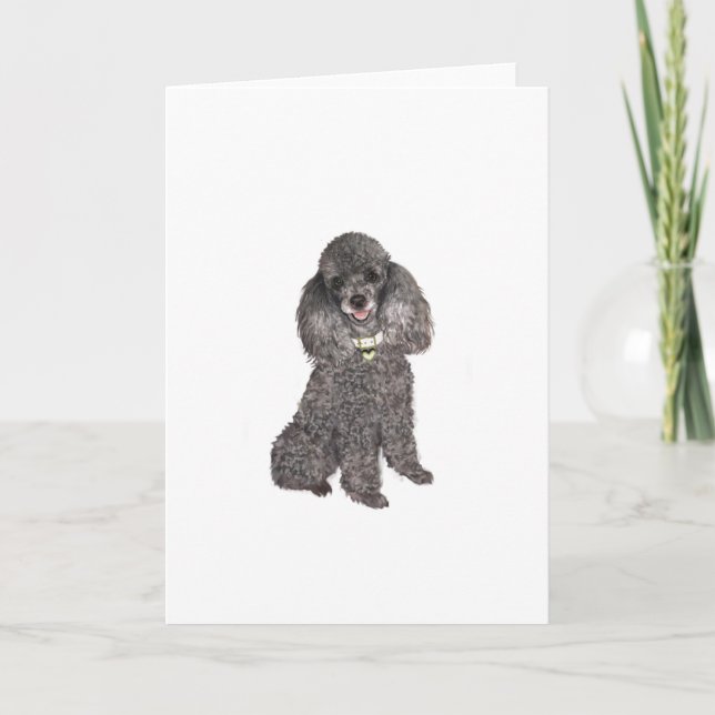 Carte Jouet/Miniature Silver (Devant)